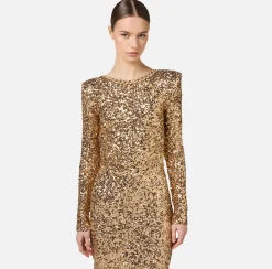 Abiti Red Carpet|Red Carpet|Elisabetta Franchi Abito red carpet in paillettes con catena e strass Gold