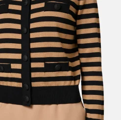 Maglieria E Felpe|Elisabetta Franchi Cardigan in lana a righe Nero/Camel