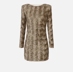 Abiti Red Carpet|Mini Abiti|Elisabetta Franchi Miniabito boxy in tulle ricamato con paillettes Camel