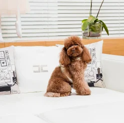 Lifestyle|Elisabetta Franchi Pettorina laminata Oro